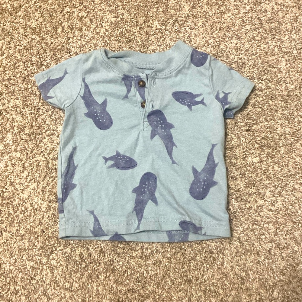 Shark top
